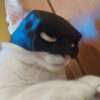 Batman маска за котка