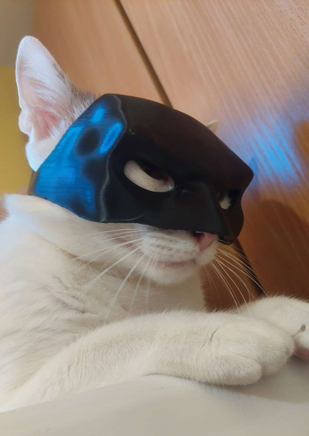Batman маска за котка