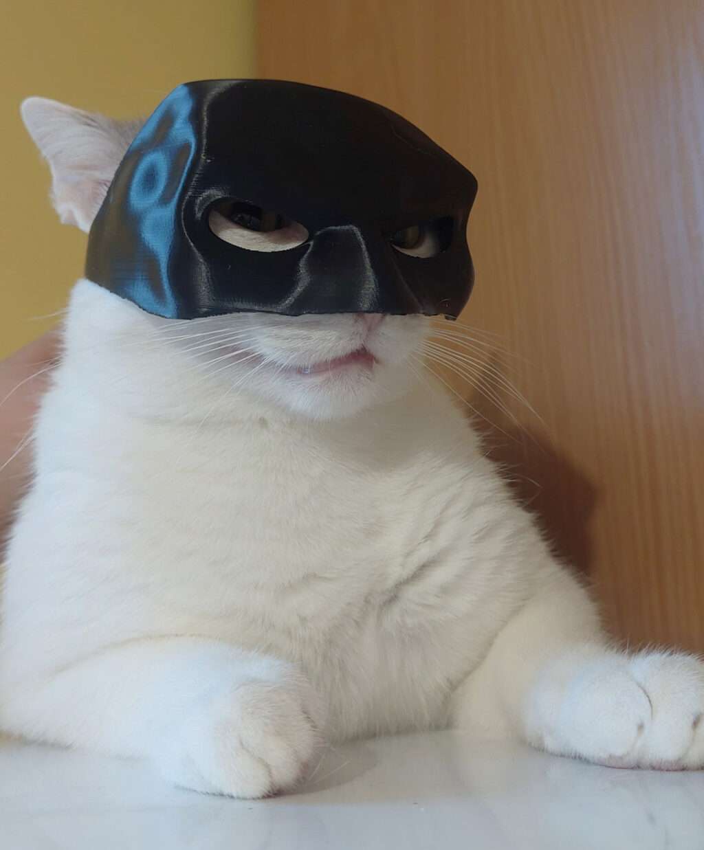 Batman маска за котка