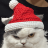 Коледна шапка за котка