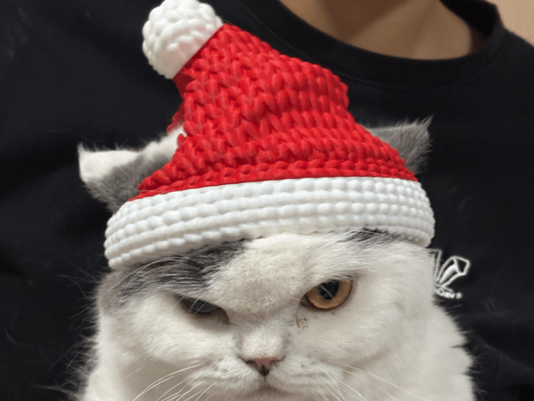 Коледна шапка за котка