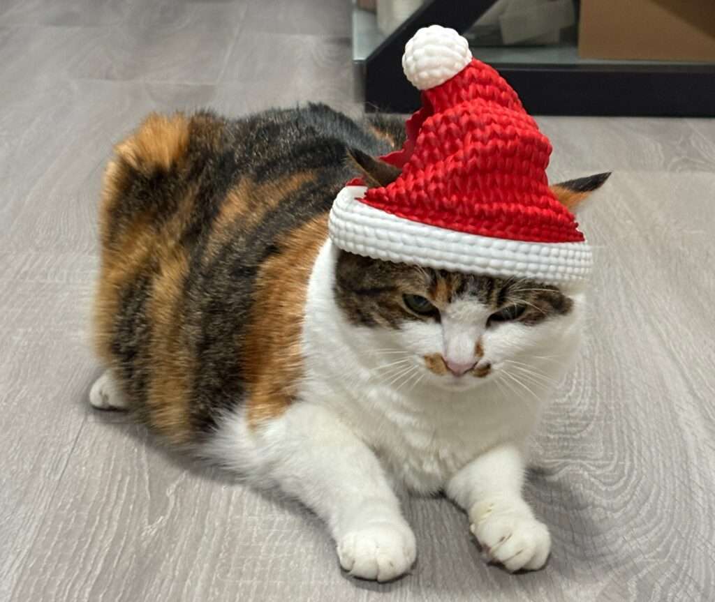 Коледна шапка за котка